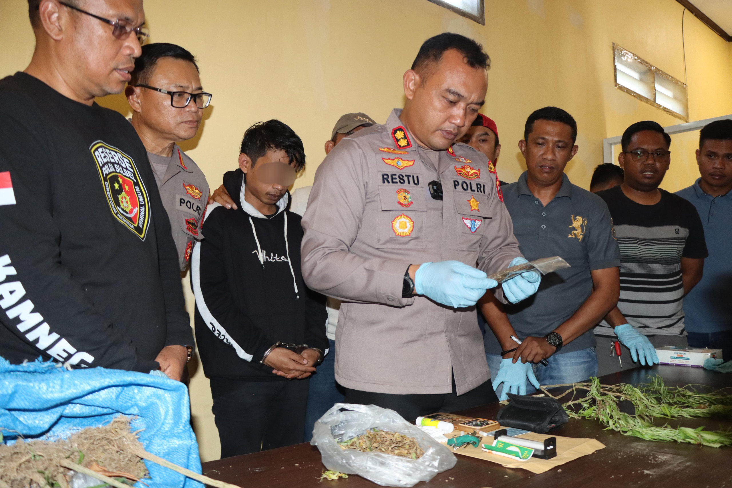 Satnarkoba Polres Bulukumba Tangkap Pelaku Penjualan Ganja Online, Puluhan Tanaman Ganja Diamankan