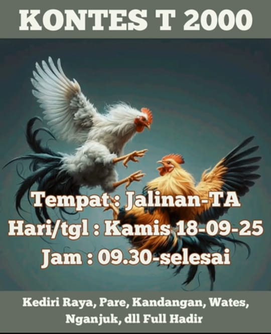 Marak Judi Sabung Ayam di Desa Bendosari Jalinan, Dugaan APH Membackup