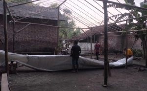 Sempat Viral di Media Online Sabung Ayam di Sukereno Umbulsari Ternyata HOAX
