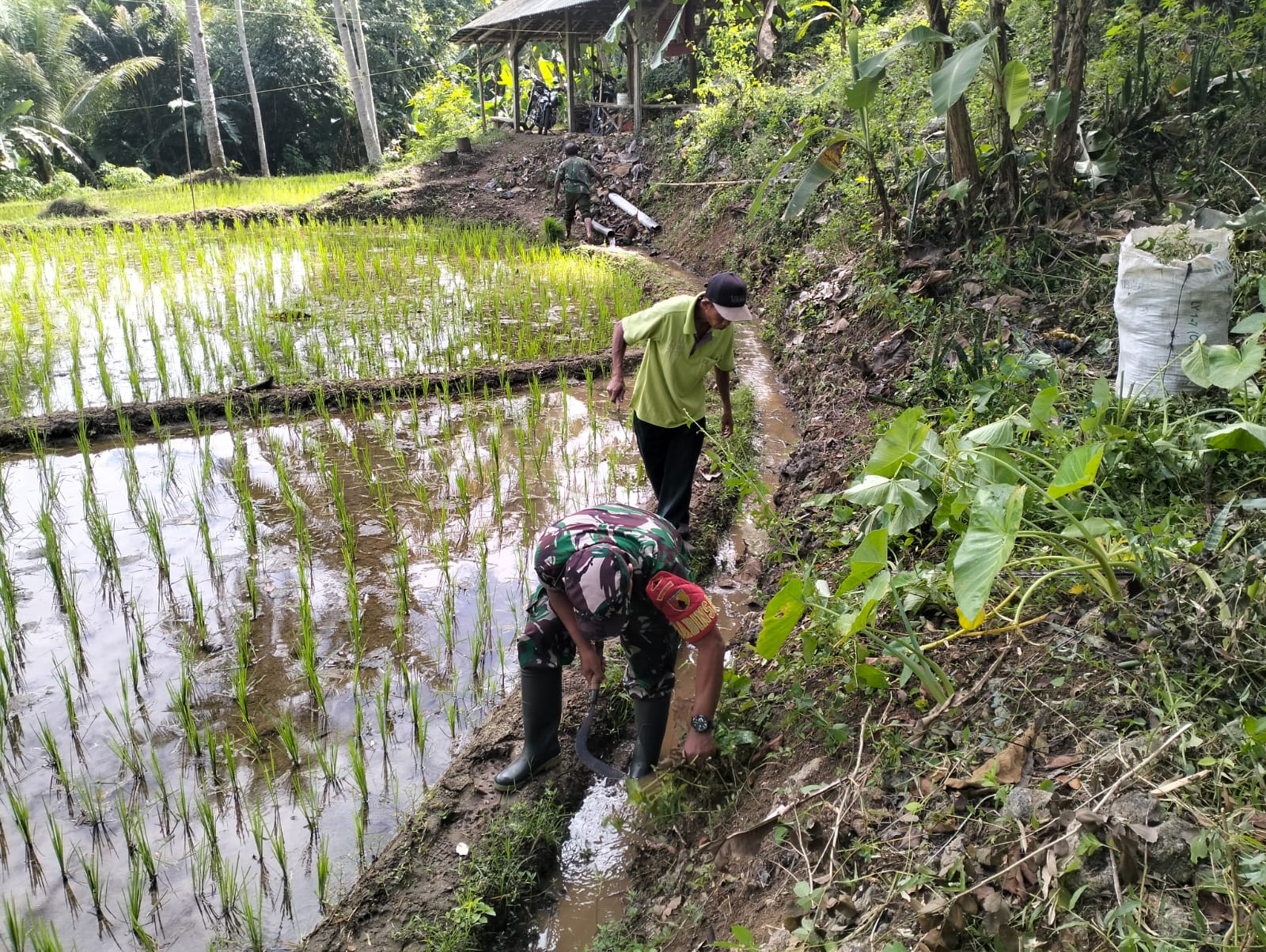 Jaga Kelancaran Pasokan Air, Babinsa Plandirejo Dan Warga Turun Tangan Bersihkan Irigasi