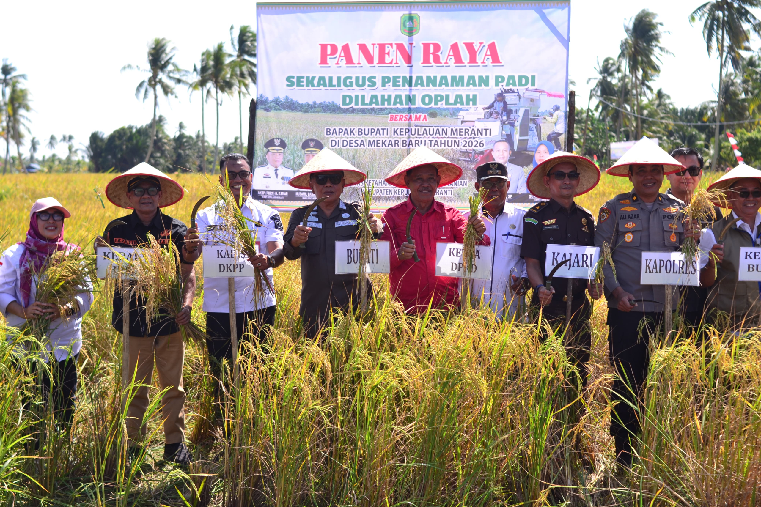 Hasil Produksi Padi Meranti Meningkat Mencapai 3.000 Ton Lebih