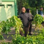 *Dukung Ketahanan Pangan Danrem Panen Raya Bersama Prajurit*