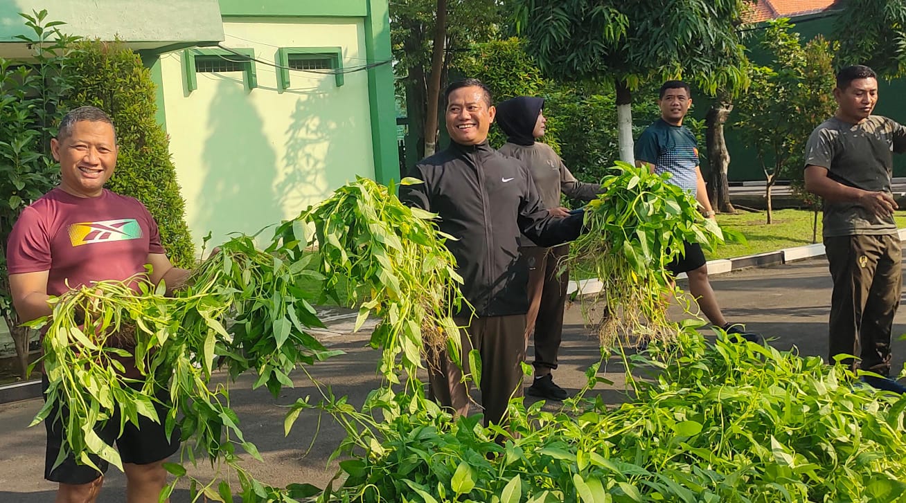 *Dukung Ketahanan Pangan Danrem Panen Raya Bersama Prajurit*